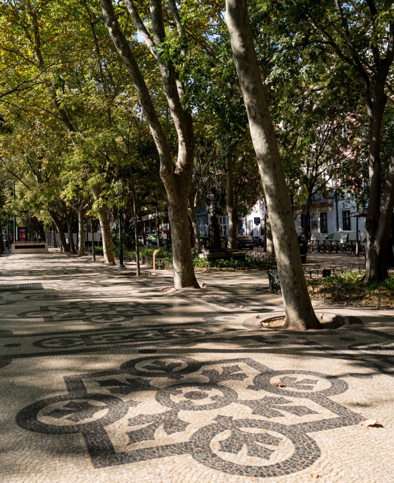 Calçada portuguesa ao longo do passeio, ladeado por árvores, na Avenida Liberdade