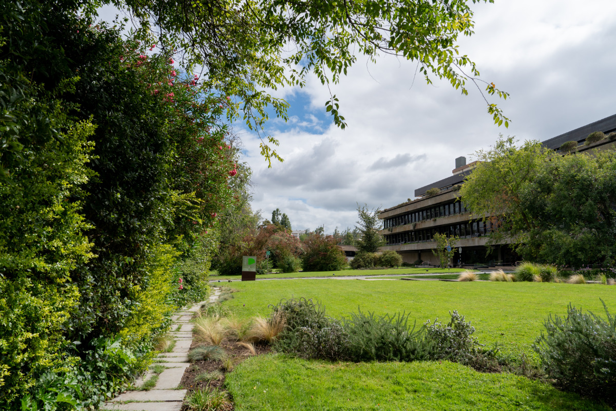Jardim da Gulbenkian e, ao fundo, o edifício da Fundação Calouste Gulbenkian