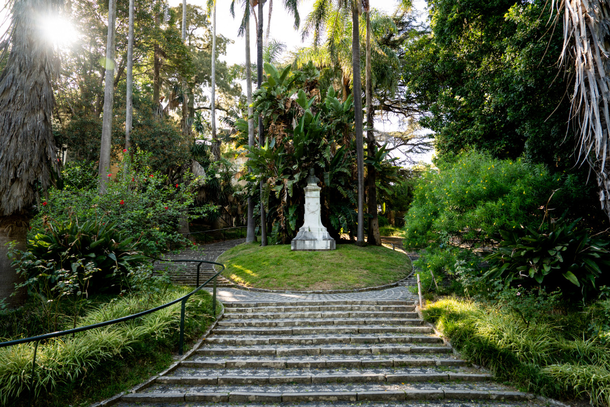 No Jardim Botânico da Universidade de Lisboa,  ao centro a separar as escadarias, encontra-se um canteiro oval relvado com o busto em bronze de Bernardino Gomes.