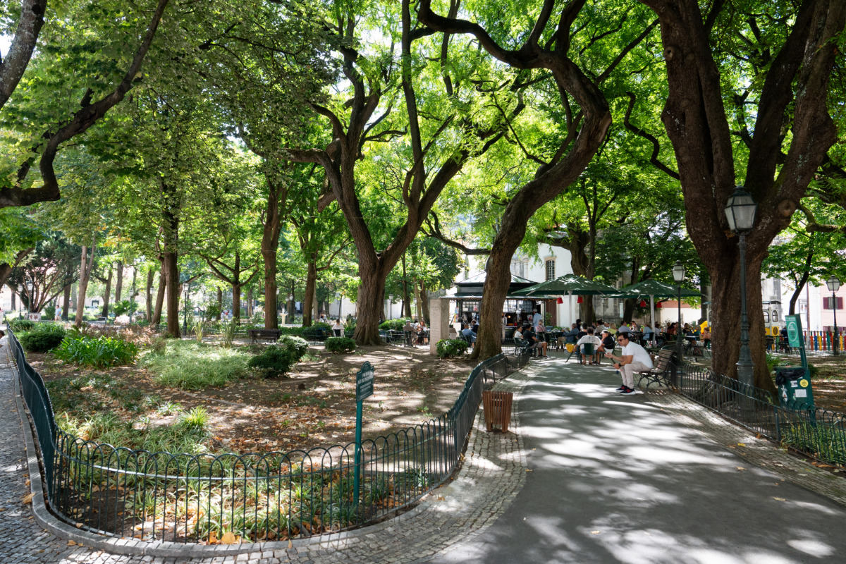 Jardim das Amoreiras com árvores grandes, sombra e pessoas sentadas em bancos, num ambiente ao ar livre na cidade.