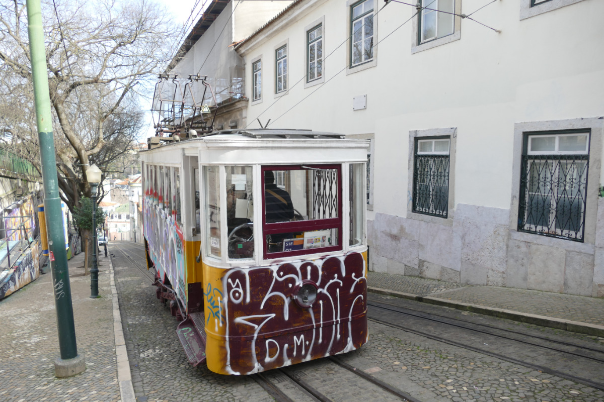 Ascensor da Glória coberto de grafites sobe a ladeira ao longo de trilhos de paralelepípedos, com árvores nuas ao fundo.