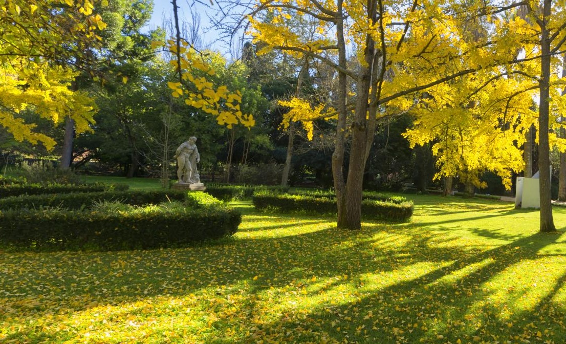Jardim Botânico Tropical com árvores frondosas e relvado bem cuidado, sob um céu claro.