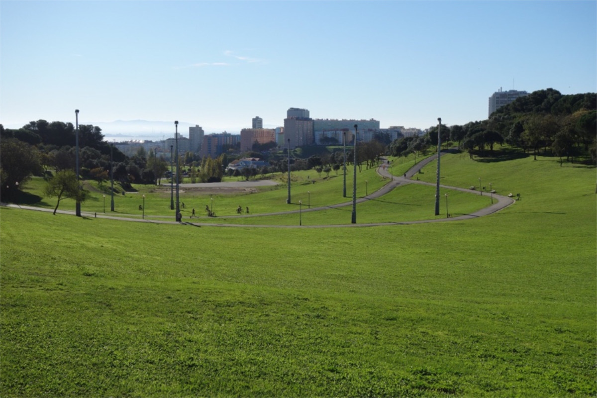 Imagem do Parque da Bela Vista, um parque urbano com relva verde, árvores, postes de iluminação pública e trilhos sob céu claro.
